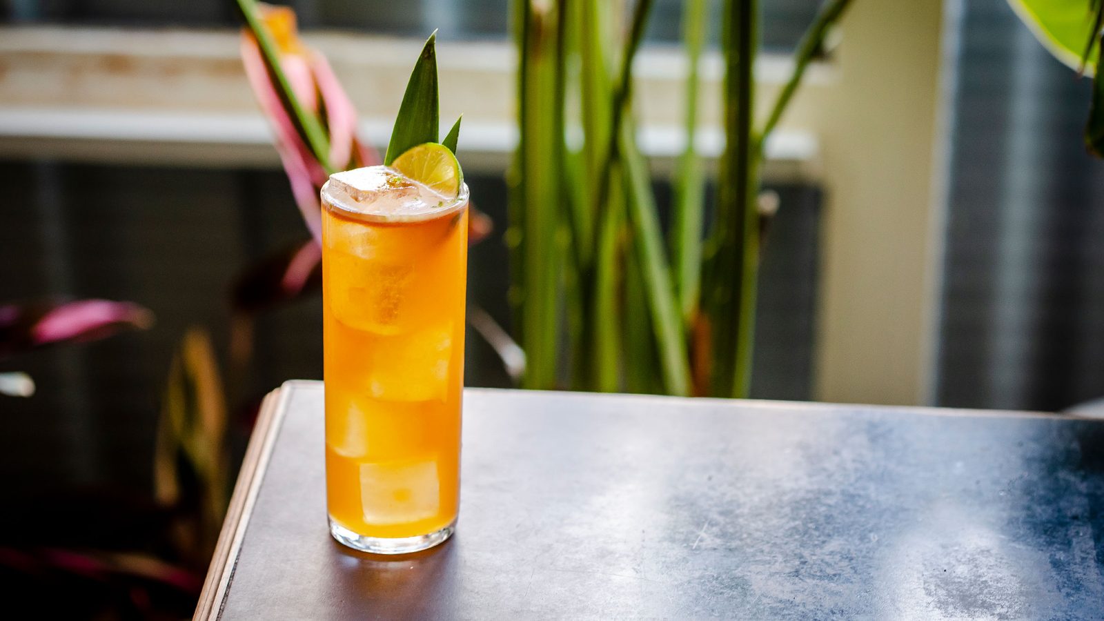 Pancho Villa Cocktail